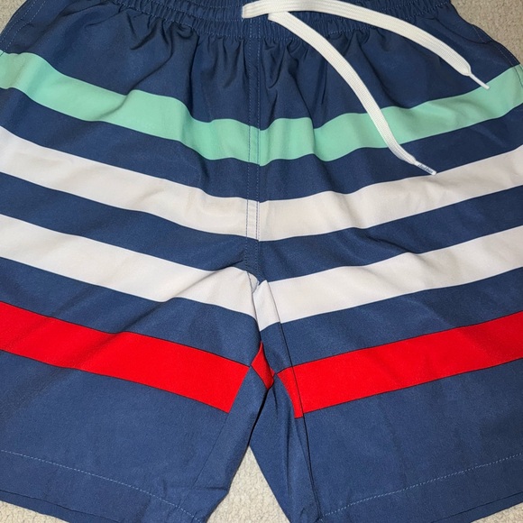 Chubbies Swim Trunks - Picture 9 of 12